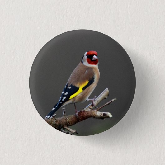 Goldfinevogel Ronde Button 3,2 Cm (Voorkant)