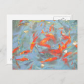 Goldfish 2010 briefkaart (Voorkant / Achterkant)