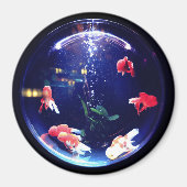 Goldfish bowl aquarium magnet magneet (Voorkant)