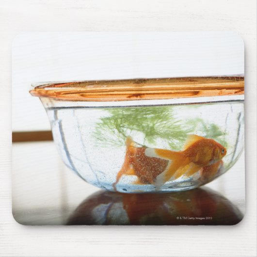 Goldfish bowl muismat (Voorkant)