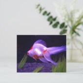 Goldfish Briefkaart (Staand voorkant)