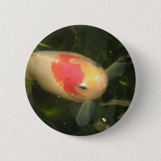Goldfish Button (Voorkant)