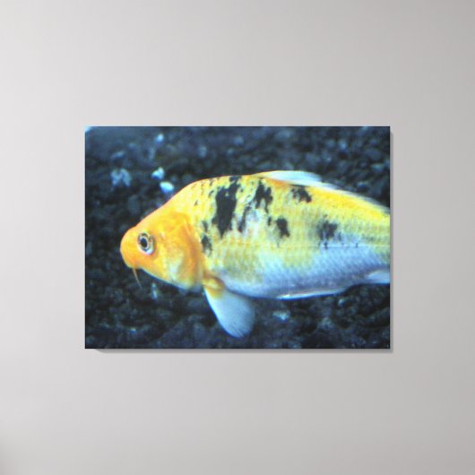 Goldfish Canvas Afdruk (Voorkant)