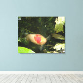 Goldfish Canvas Print (Insitu (Houten vloer))