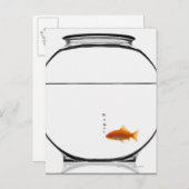 Goldfish in bowl briefkaart (Voorkant / Achterkant)
