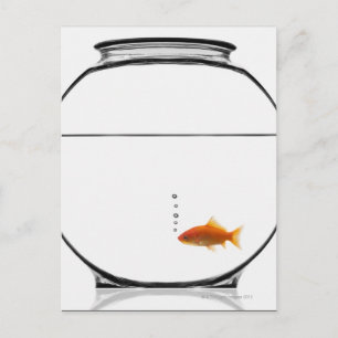 Goldfish in bowl briefkaart
