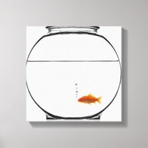 Goldfish in bowl canvas afdruk