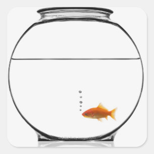 Goldfish in bowl vierkante sticker