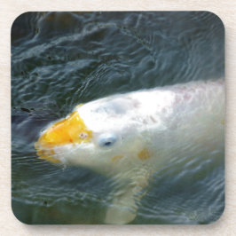 Goldfish in Lake Onderzetter