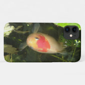 Goldfish iPhone 3 Case (Achterkant (horizontaal))