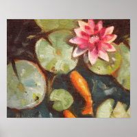 Goldfish Koi Pond Water Lilies