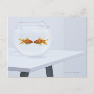 Goldfish kussen in vissenkom briefkaart
