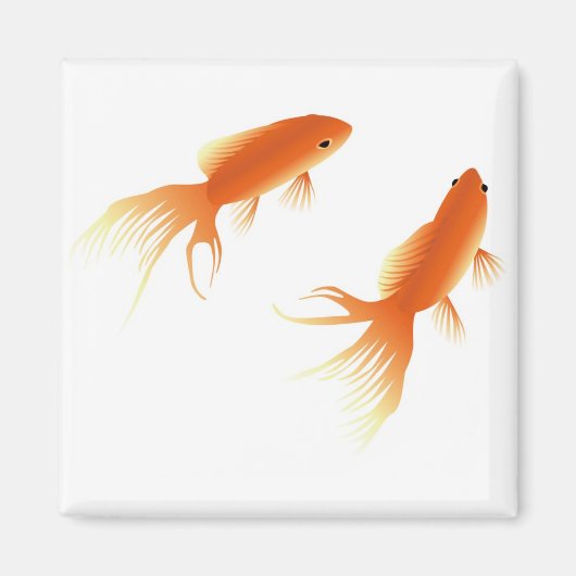 GOLDFISH MAGNEET (Voorkant)
