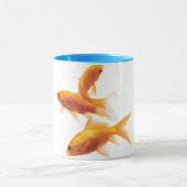 Goldfish Mok (Midden)
