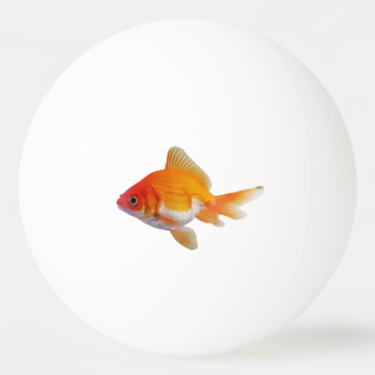 Goldfish Pingpong Ball (Voorkant)