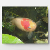 Goldfish Plaque Fotoplaat (Voorkant)