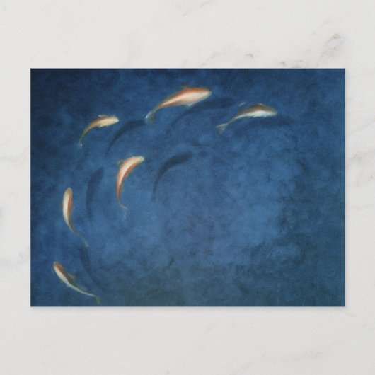 Goldfish Pool Briefkaart (Voorkant)