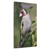 Goldie Clipboard Klembord (Rechts)