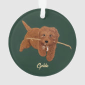 Goldie Doodle Ornament (achterkant)