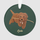 Goldie Doodle Ornament (voorkant)