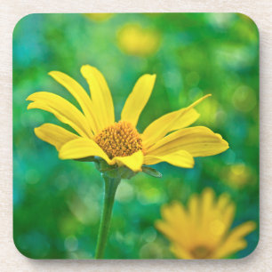 Goldie Drankjes Onderzetter