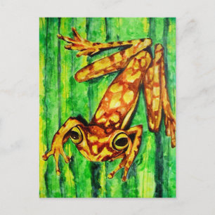 Goldie The Tree Frog Briefkaarten