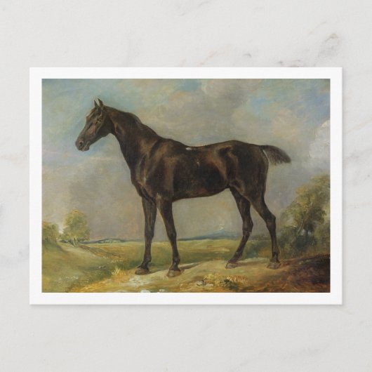 Golding Constable's Black Riding-Horse, c.1805-10 Briefkaart (Voorkant)