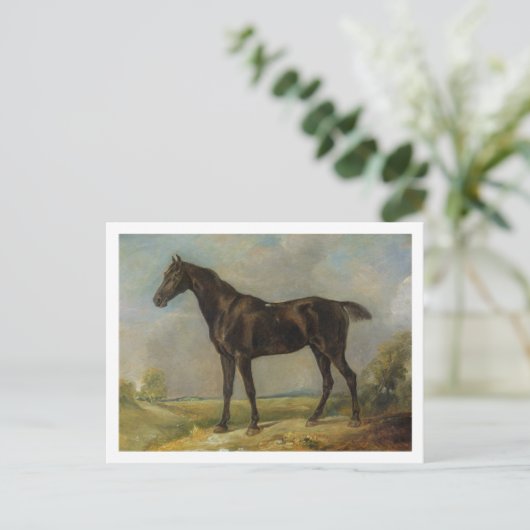 Golding Constable's Black Riding-Horse, c.1805-10 Briefkaart (Staand voorkant)