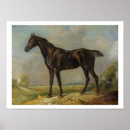 Golding Constable's Black Riding-Horse, c.1805-10 Poster (Voorkant)