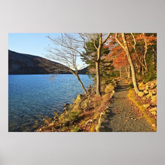 Golds & Blues Poster (Voorkant)