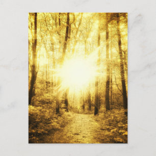GOLDSUN2-BRIEFKAART BRIEFKAART