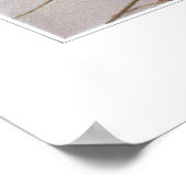 Goldthread - Coptis trifolia Poster (Hoek)