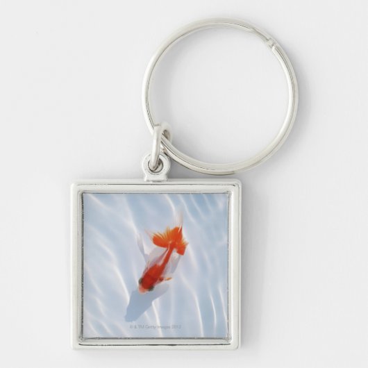 Goldvis 5 sleutelhanger (Voorkant)