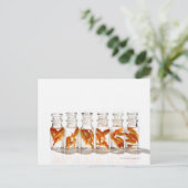 Goldvis Briefkaart (Staand voorkant)