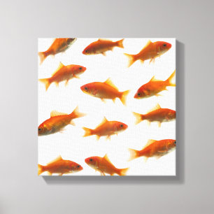 Goldvis Canvas Afdruk
