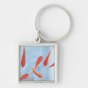Goldvis Sleutelhanger