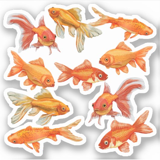 Goldvis Sticker (Voorkant)