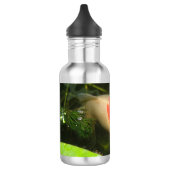Goldvis Waterfles (Links)