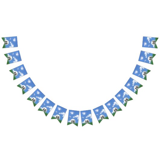 Golf Ball voor 16e verjaardag Bunting Flags Vlaggetjes (Alle)