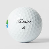 Golf Balls-Titleist PRO V1 Golfballen (Logo)