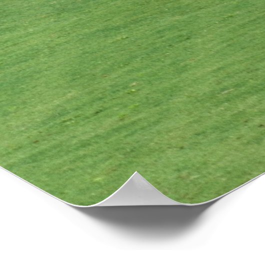 Golf Course Sand Traps Poster (Hoek)