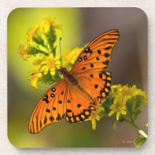 Golf Fritillary ook bekend als Passievlinder op Gu Bier Onderzetter