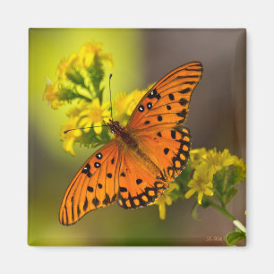 Golf Fritillary ook bekend als Passievlinder op Gu Magneet