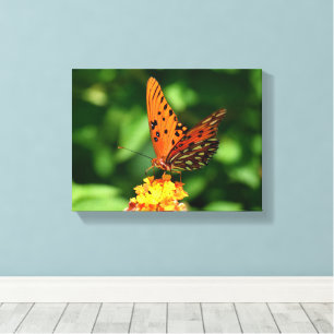 Golf fritillary Vlinder Opgespannen Canvas Print