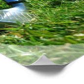 Golf Putt Poster (Hoek)