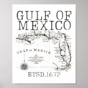 Golf van Amerika Grappige Golf van Mexico vlagkaar Poster