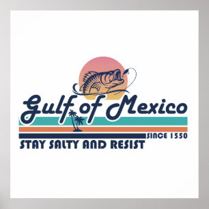 Golf van Mexico blijf zout en verzet je tegen de v Poster