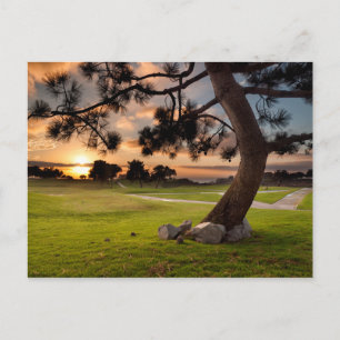 Golfbaan Zonsondergang Briefkaart