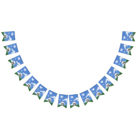 Golfbal in gras voor 75e verjaardag vlaggetjes (Alle)