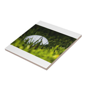 golfballonhullende remix tegeltje